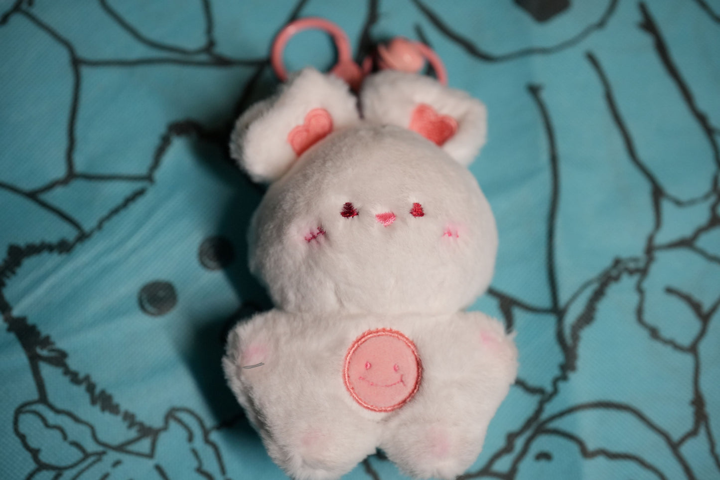 Little White Bunnie