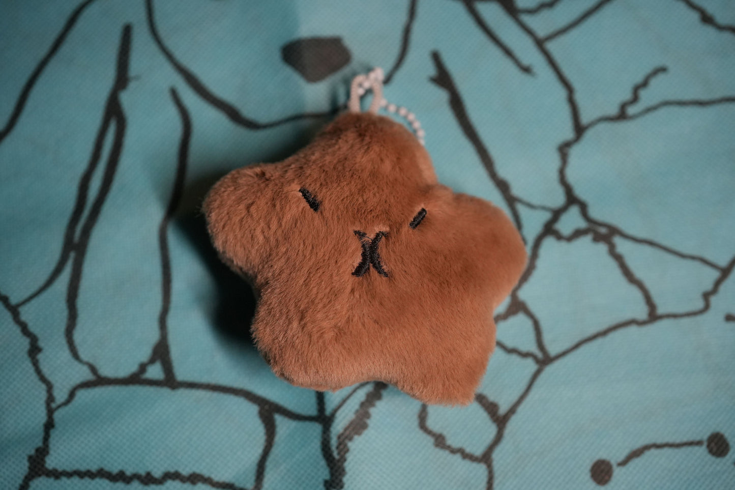 Star Capybara